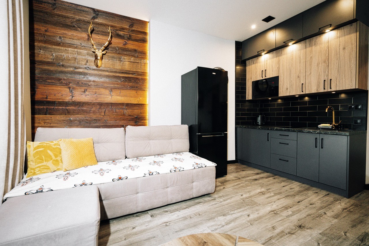 Salon apartamentu Halny — sofa rozkładana obok w pełni wyposażonej kuchni