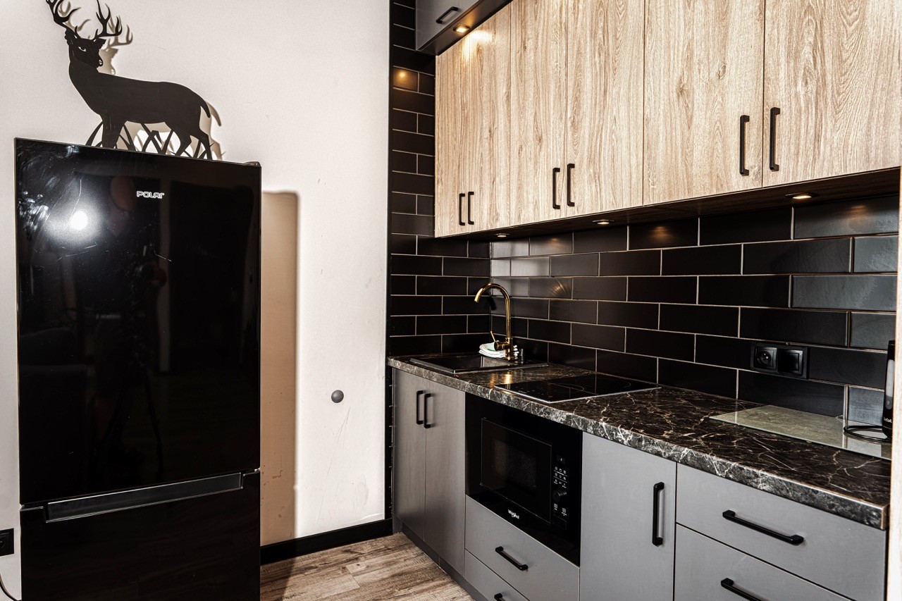 Nowoczesny aneks kuchenny z płytą, piekarnikiem i lodówką w apartamencie Watra