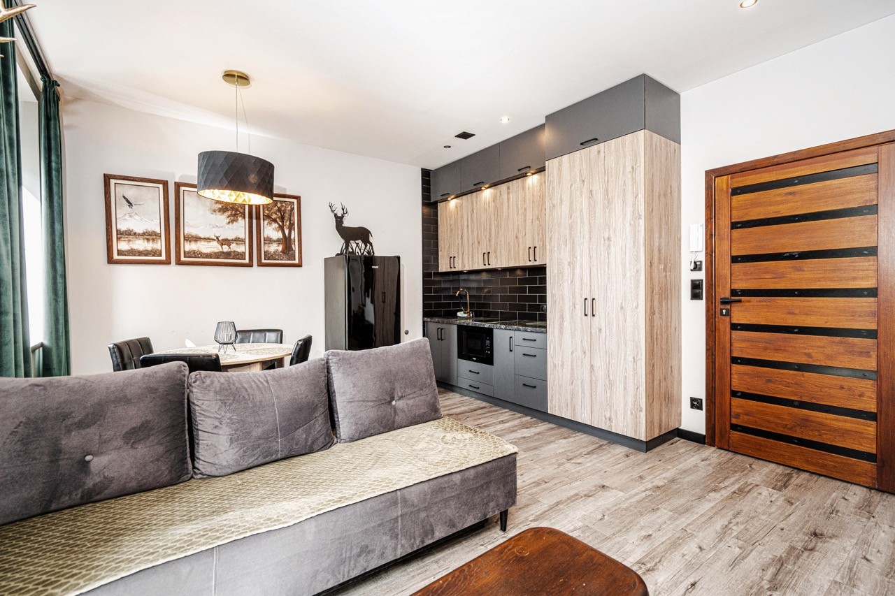 Jasny salon z sofą i w pełni wyposażonym aneksem kuchennym w apartamencie Watra